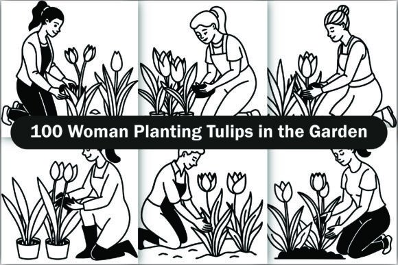 Woman Planting Tulips in the Garden